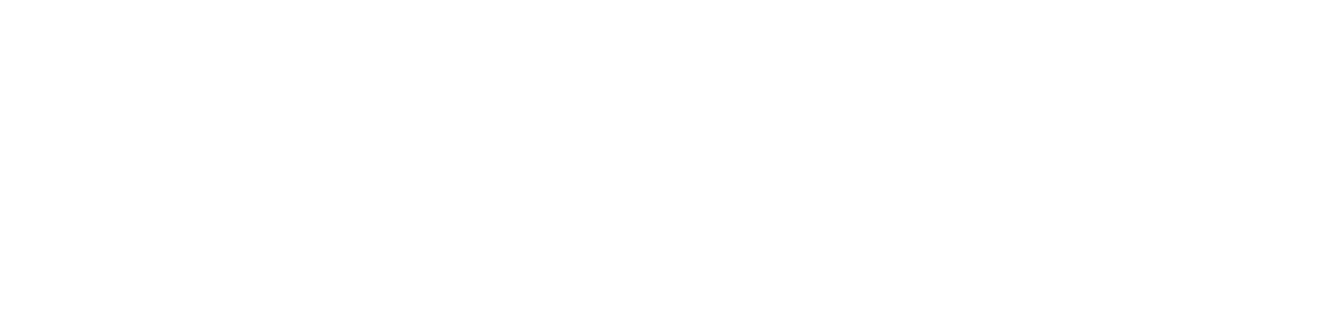 Logo da Elitte Capital e Necton